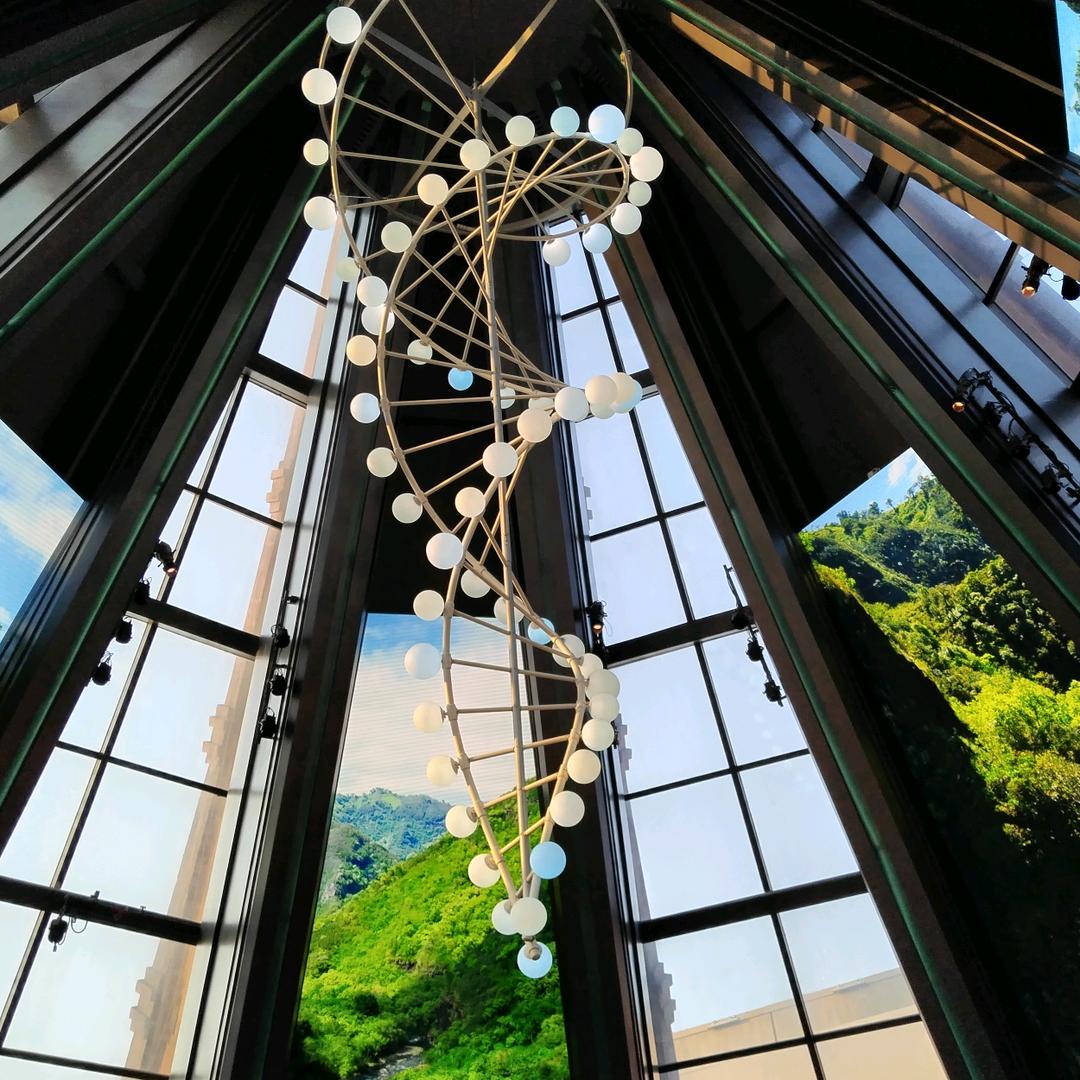 胖七七