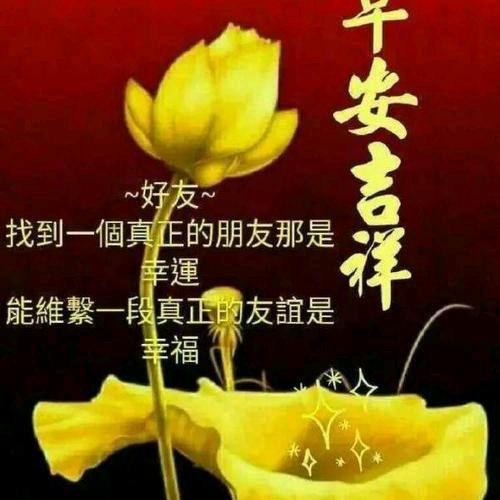 累了谁疼