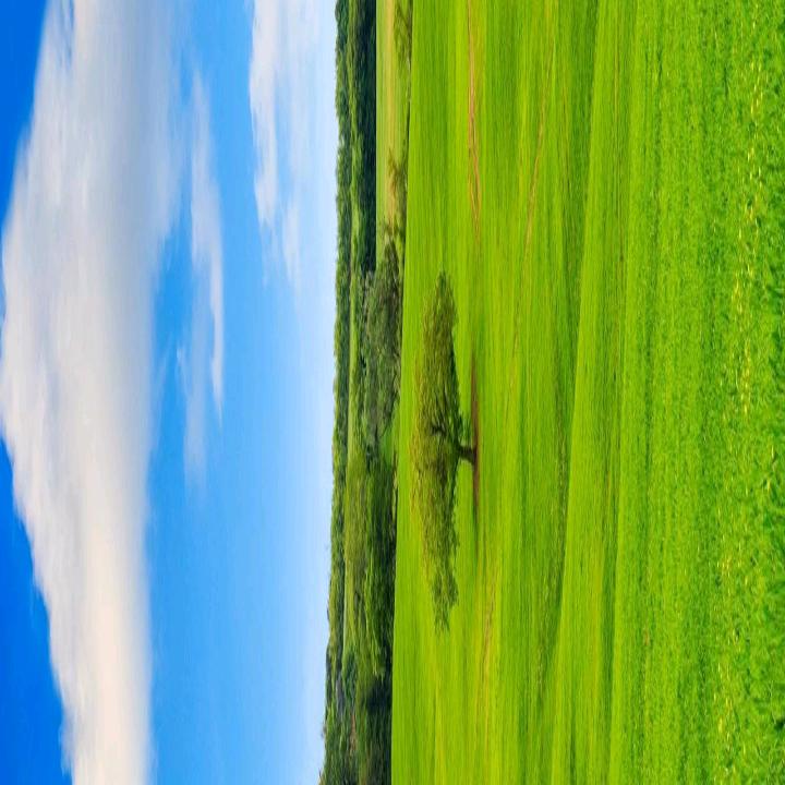 一路向钱看