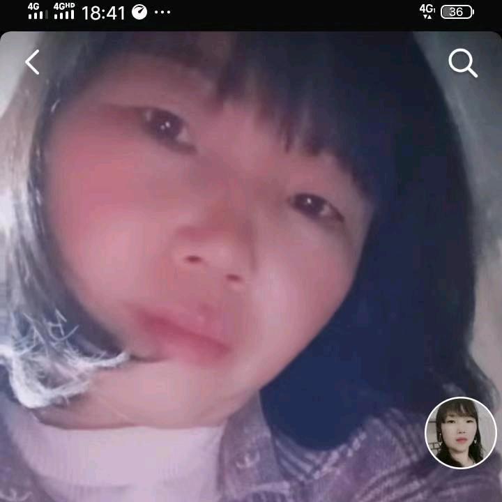 爱情伤了我
