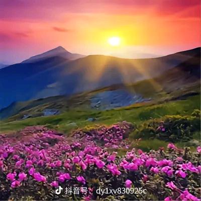万事随缘