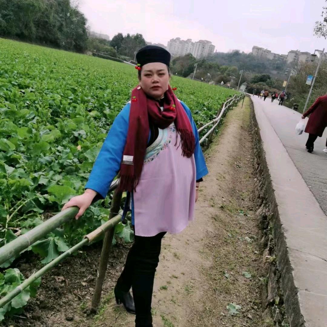 丢了幸福的猪