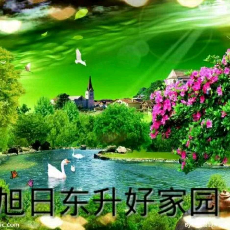 世外家园