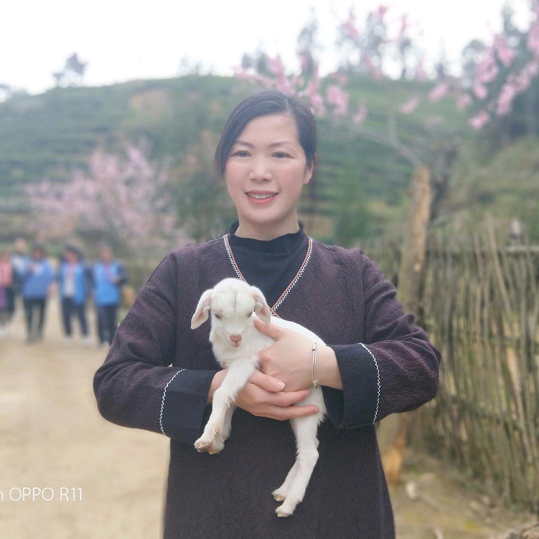 索蓝朵（羊姐）
