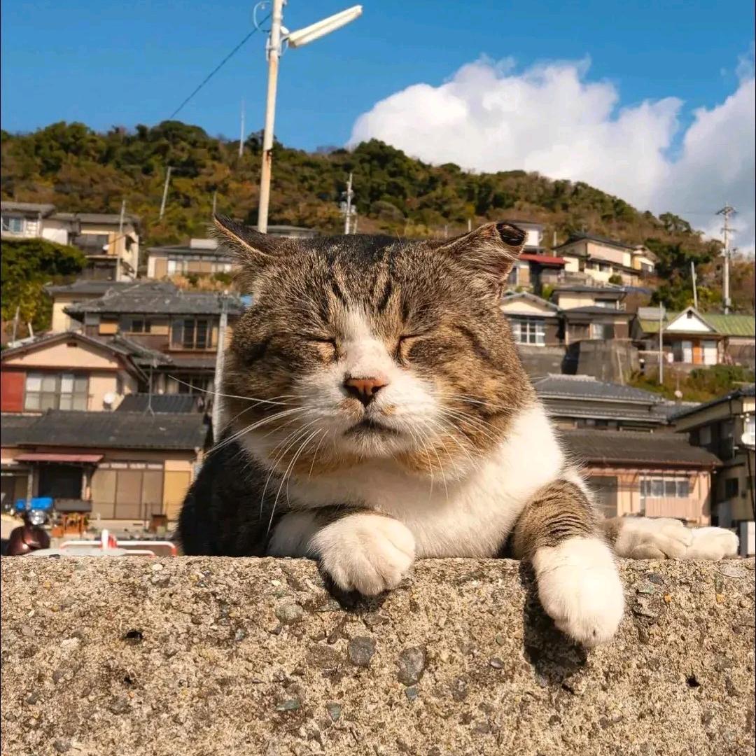 特摄剧场JR