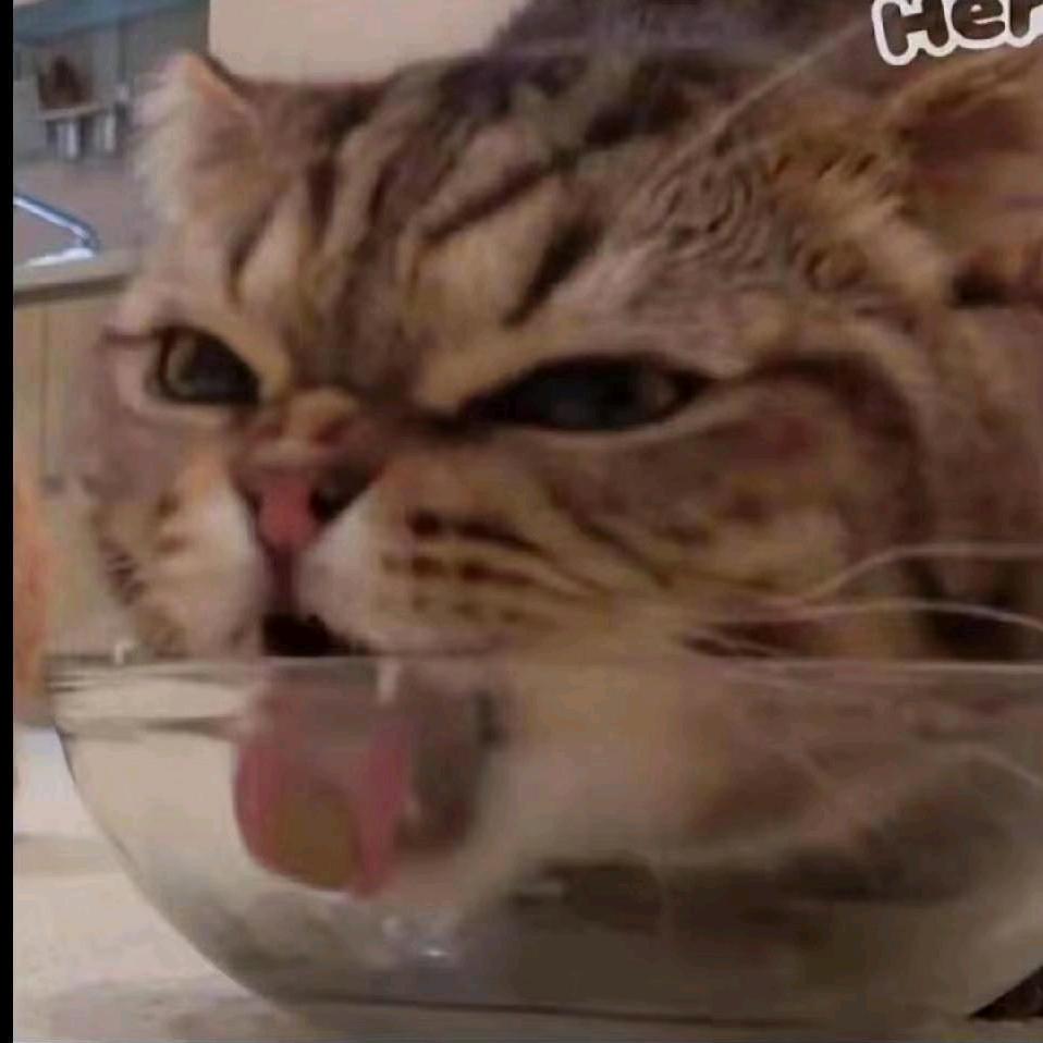 听风说雨柔