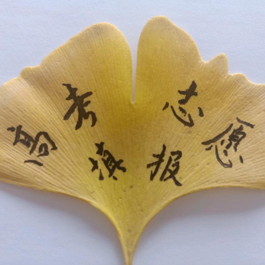 升学就业规划苗老师