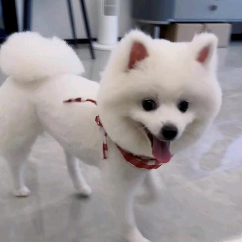 顽皮老妹精选好物