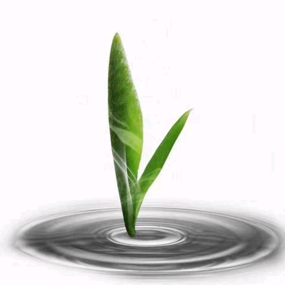 🍀 鑫思露食品供应链  徐周周