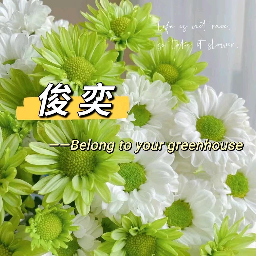 俊奕花卉