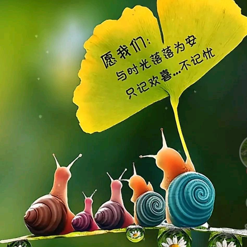 用户愿一切安好