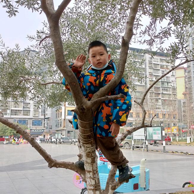 难得糊涂