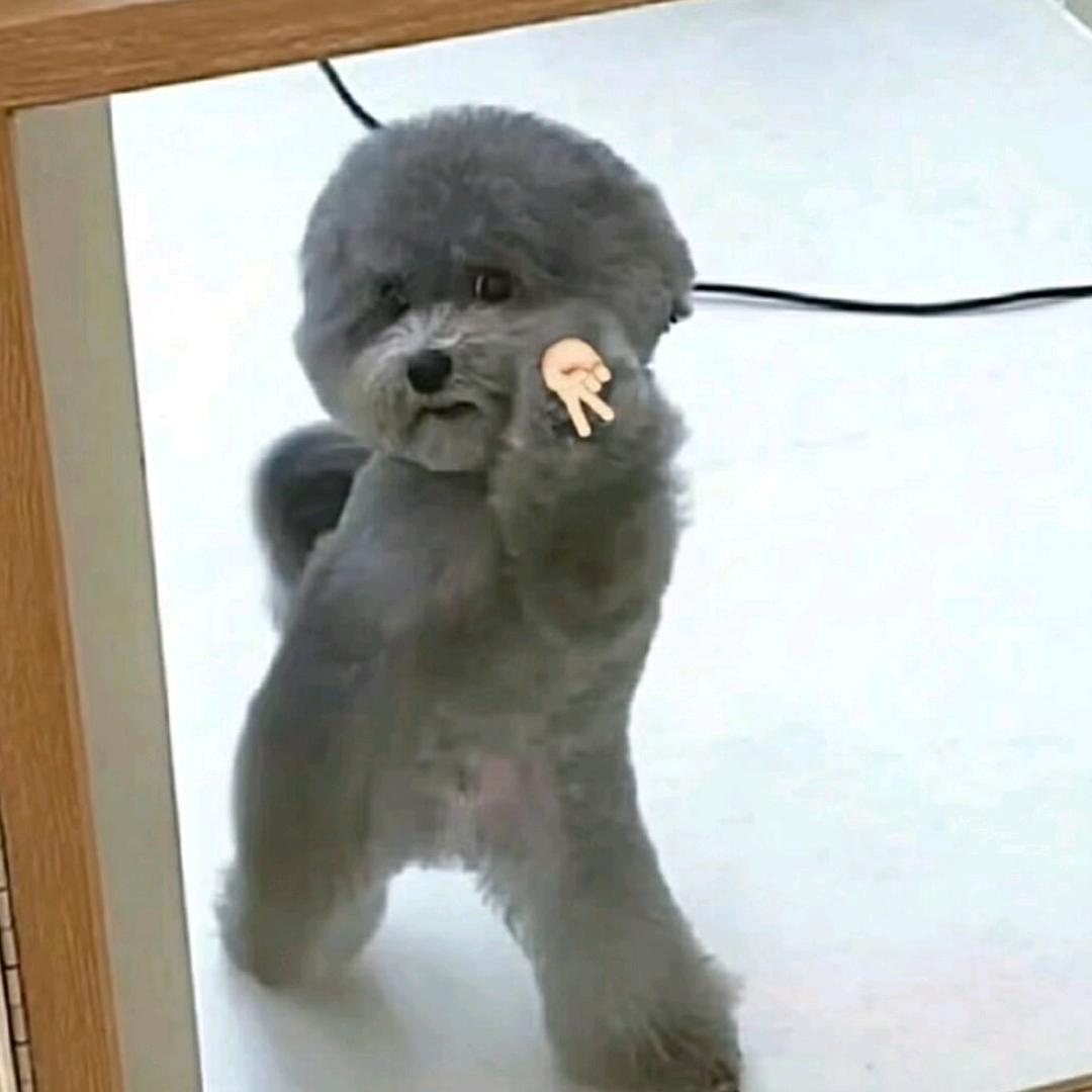 柔情似水