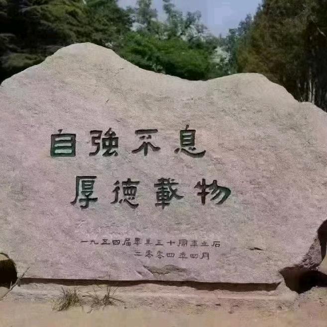 鸿鹄之志