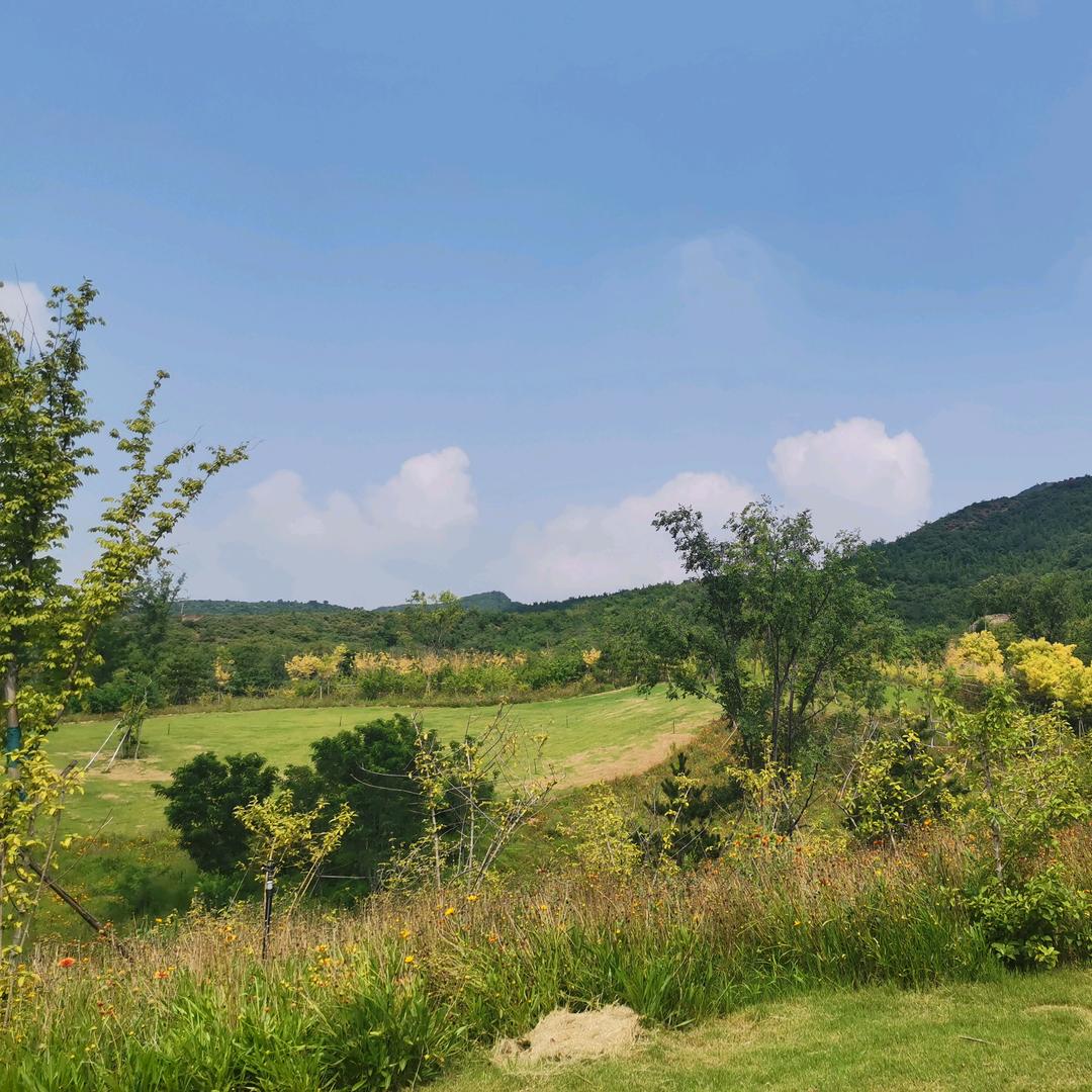 💞🕊დ᭄ꦿ归零꧔ꦿ℘⸙