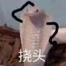 荷兰蛙