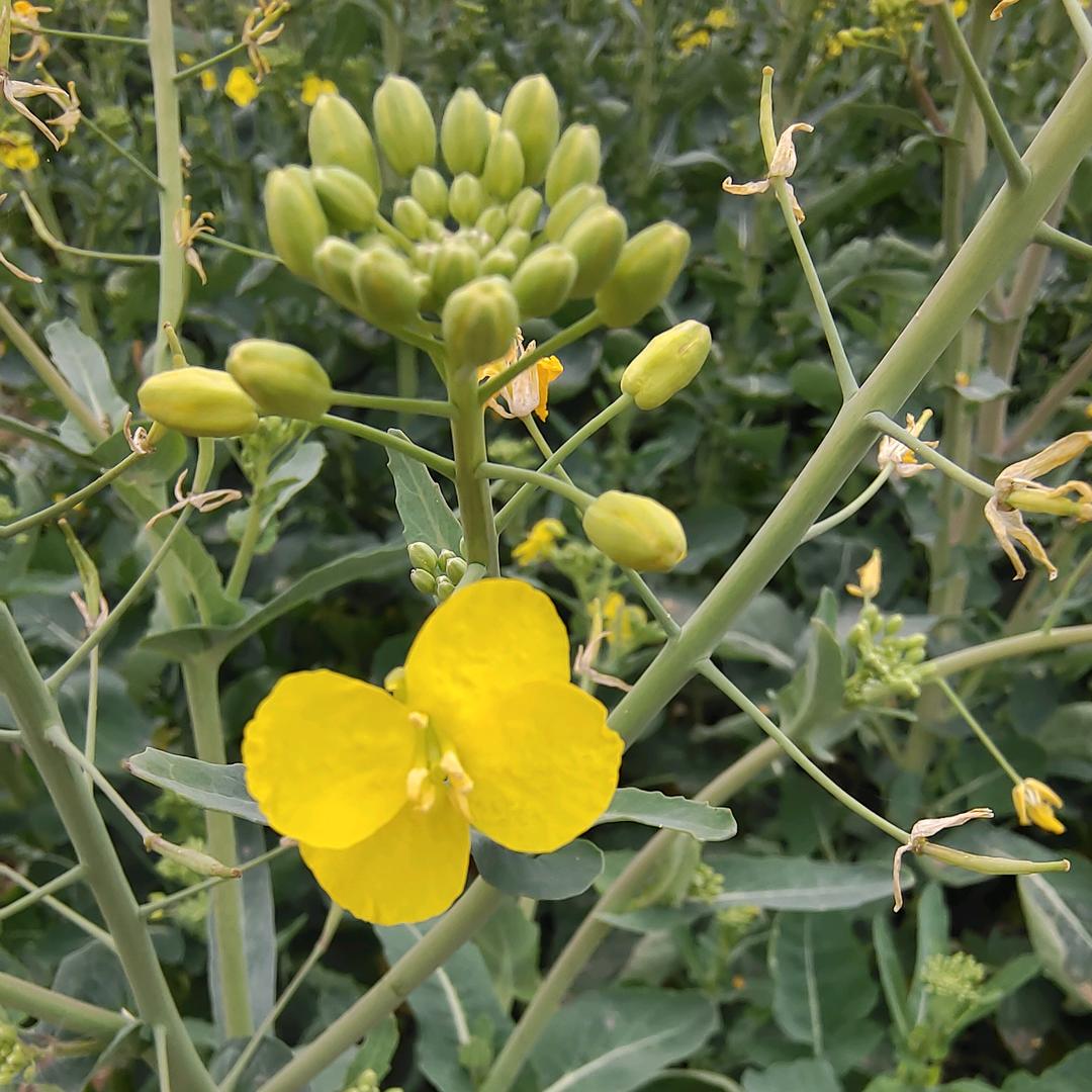 微微一笑天晴了