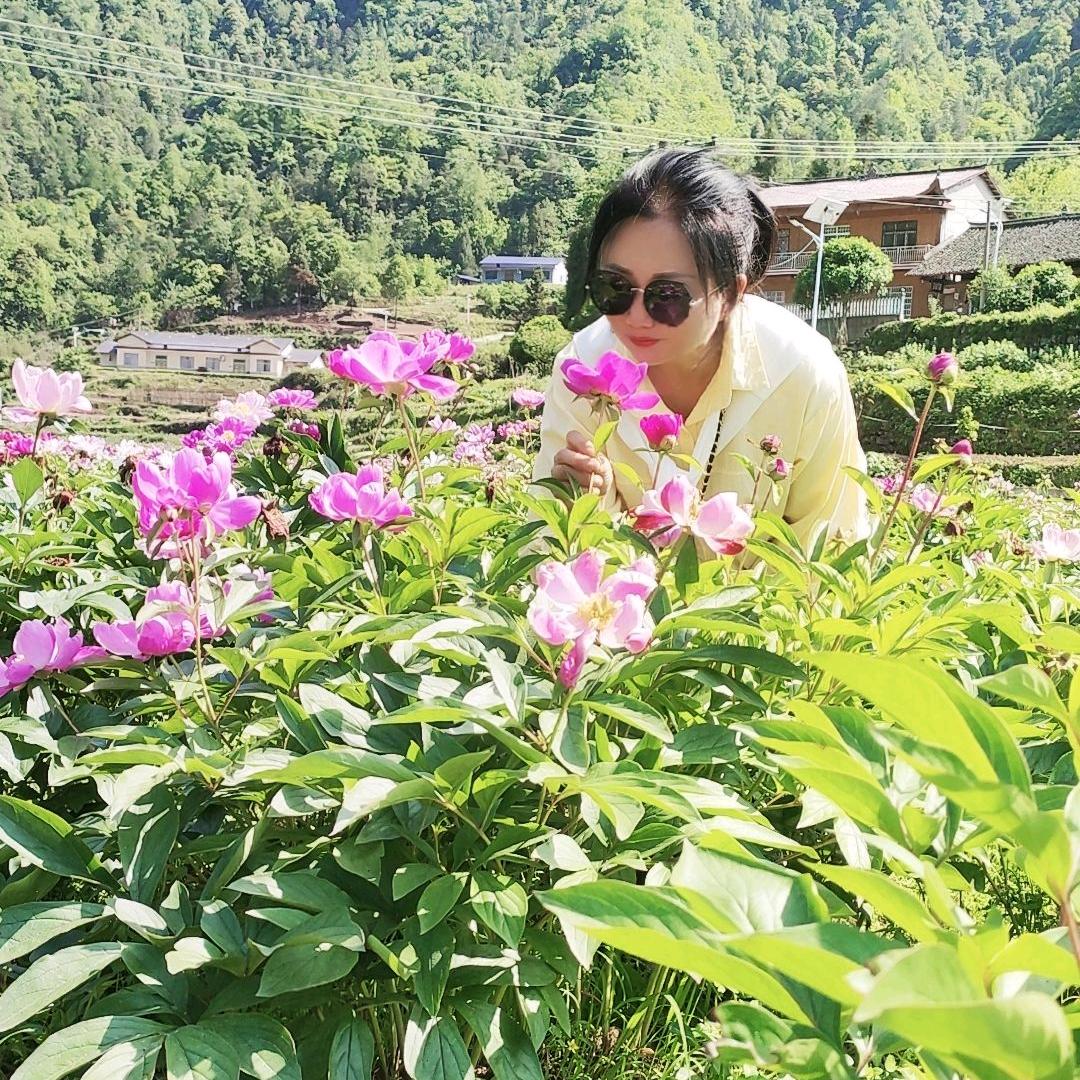 💞别来无恙💞