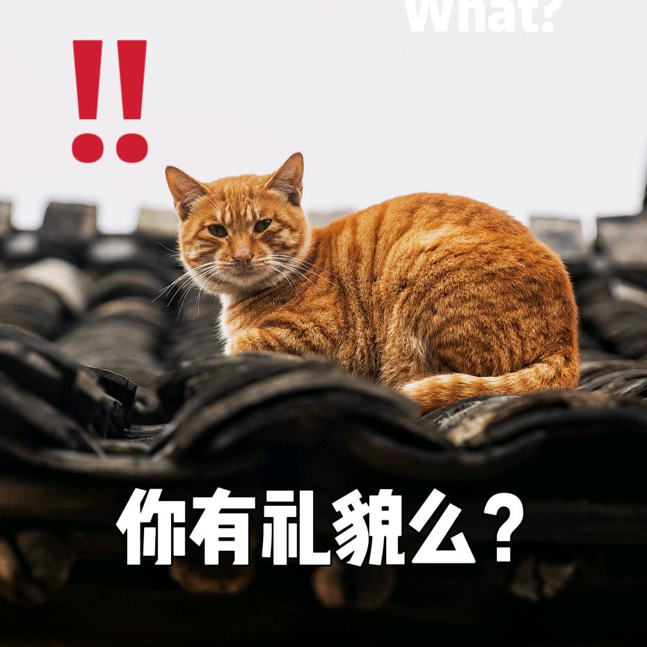 📷苏一（想拍哪里和我说）