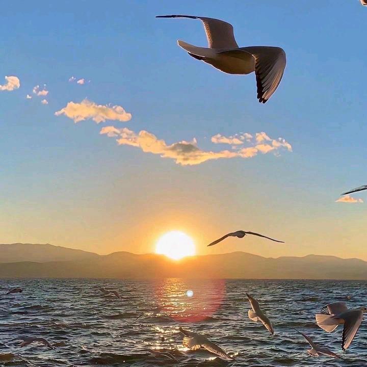 落叶不吹风