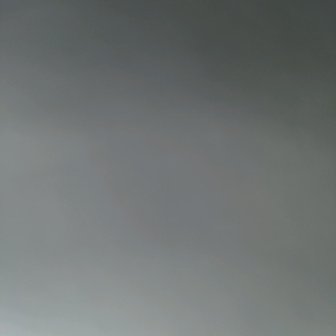 瑞林