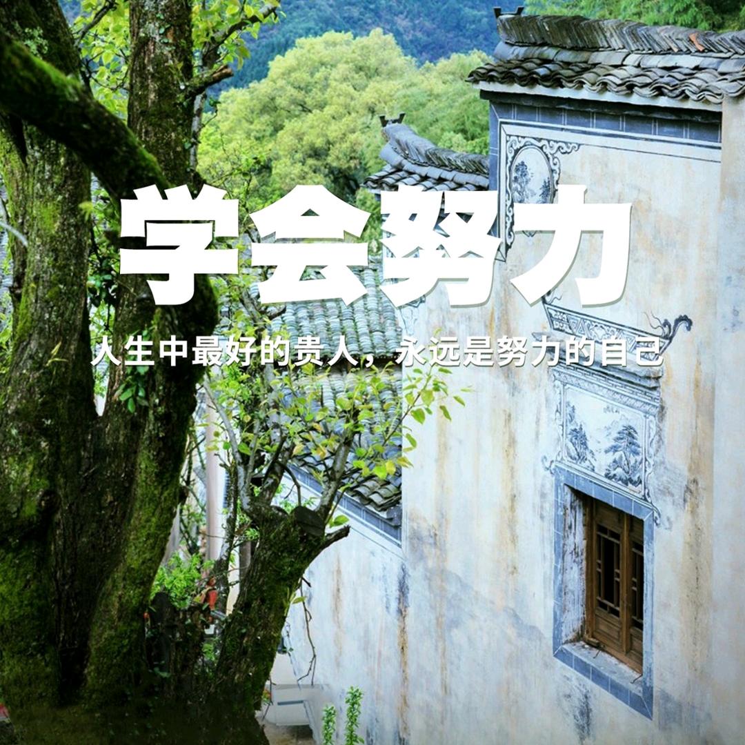 我还在这里