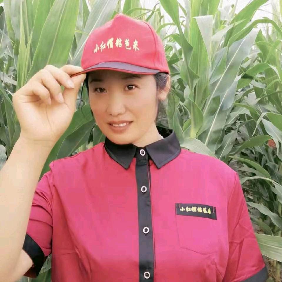 佳木斯有机小红帽粘苞米