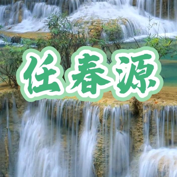 强磁 银触点-壬水甲