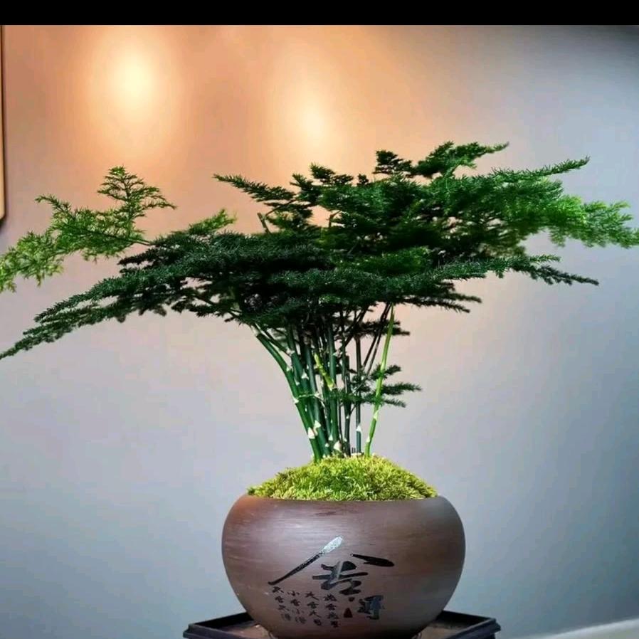 适可而止