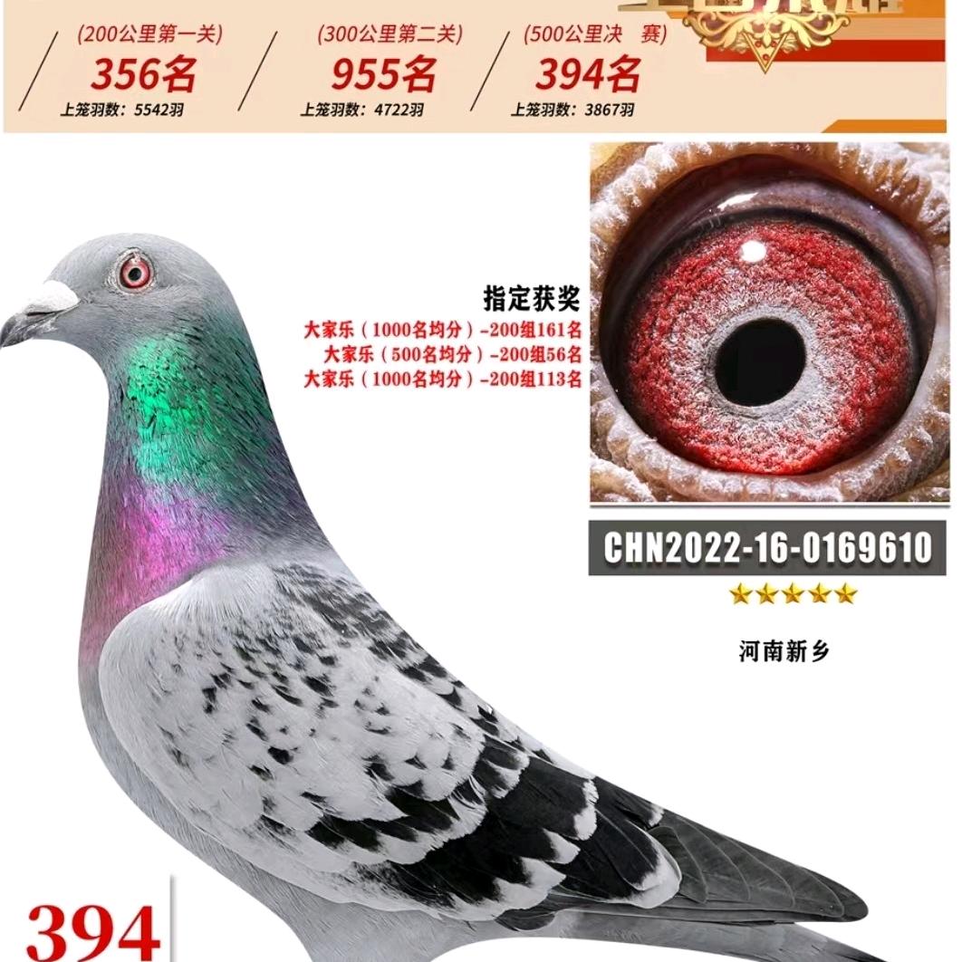 2025奋斗
