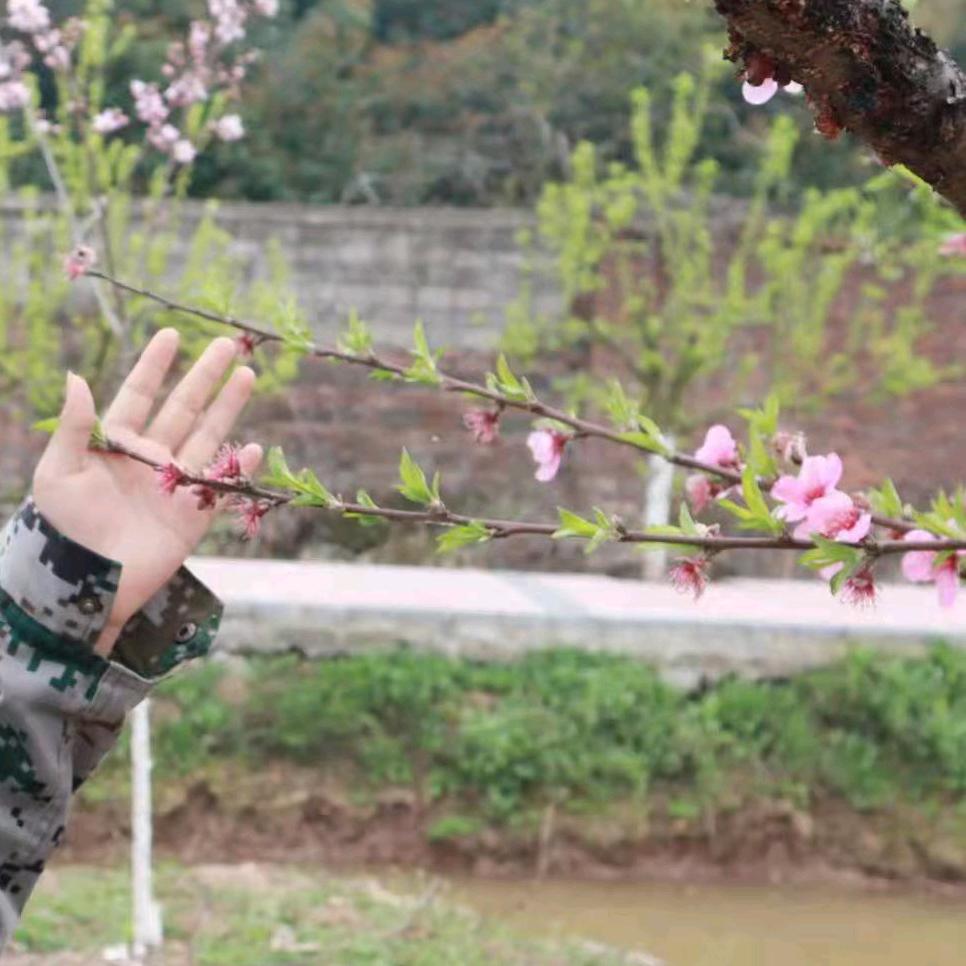 回不到从前的我