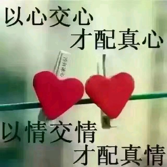 爱的世界只有你