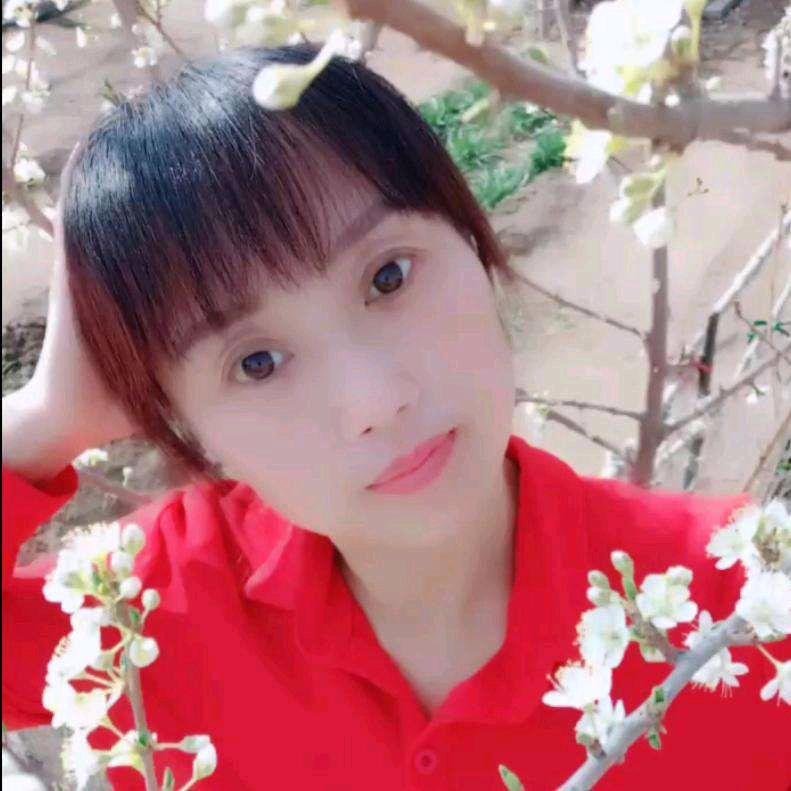 云儿