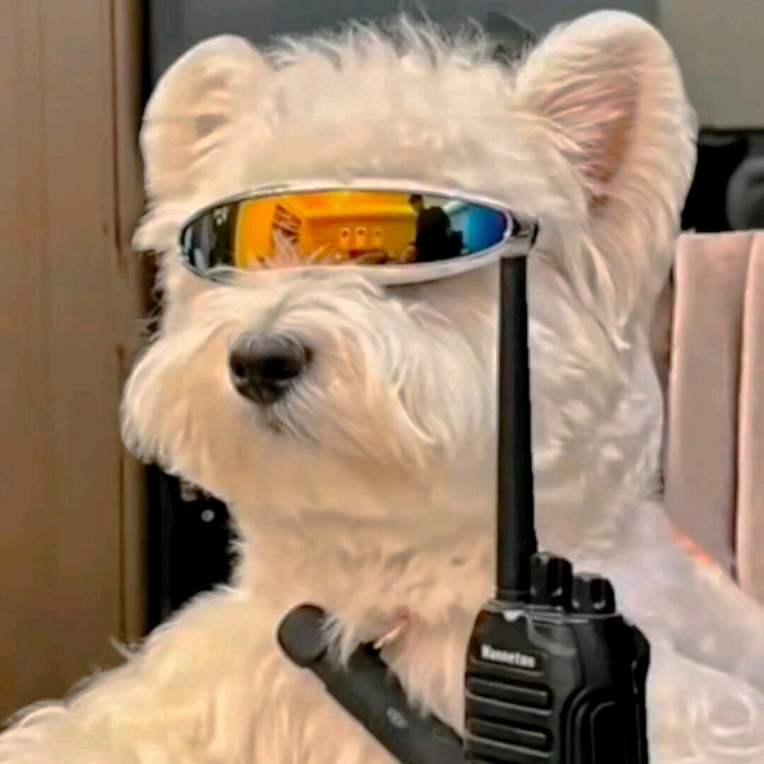 。。