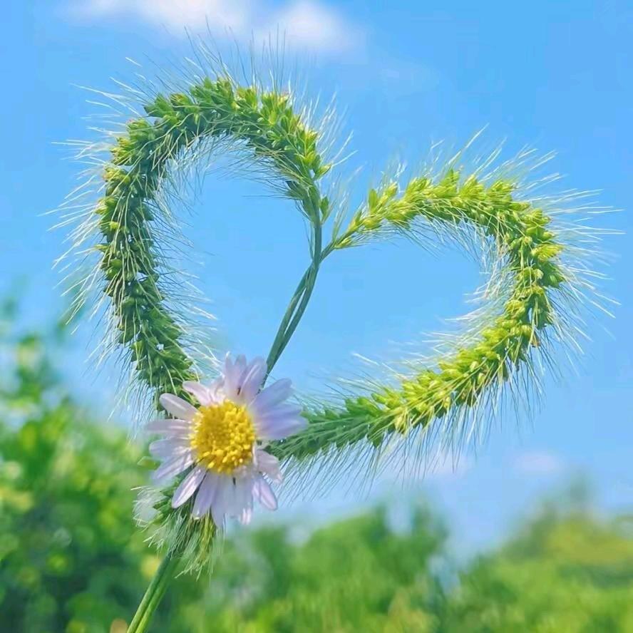 为🌹你🌹停🍀🍀刘🍀🍀🍀🍀