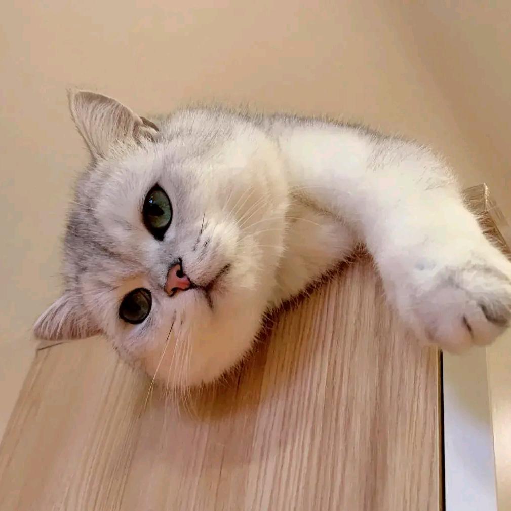 自予