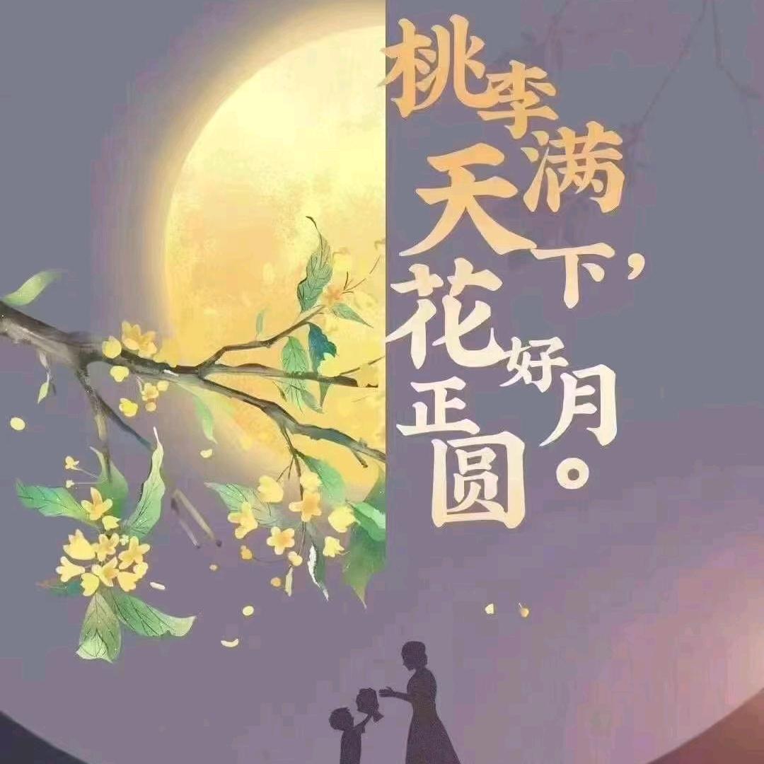 小凤百货优选