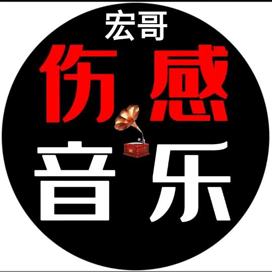 单身宏哥.伤感音乐🎶🔥(收徒中)车载