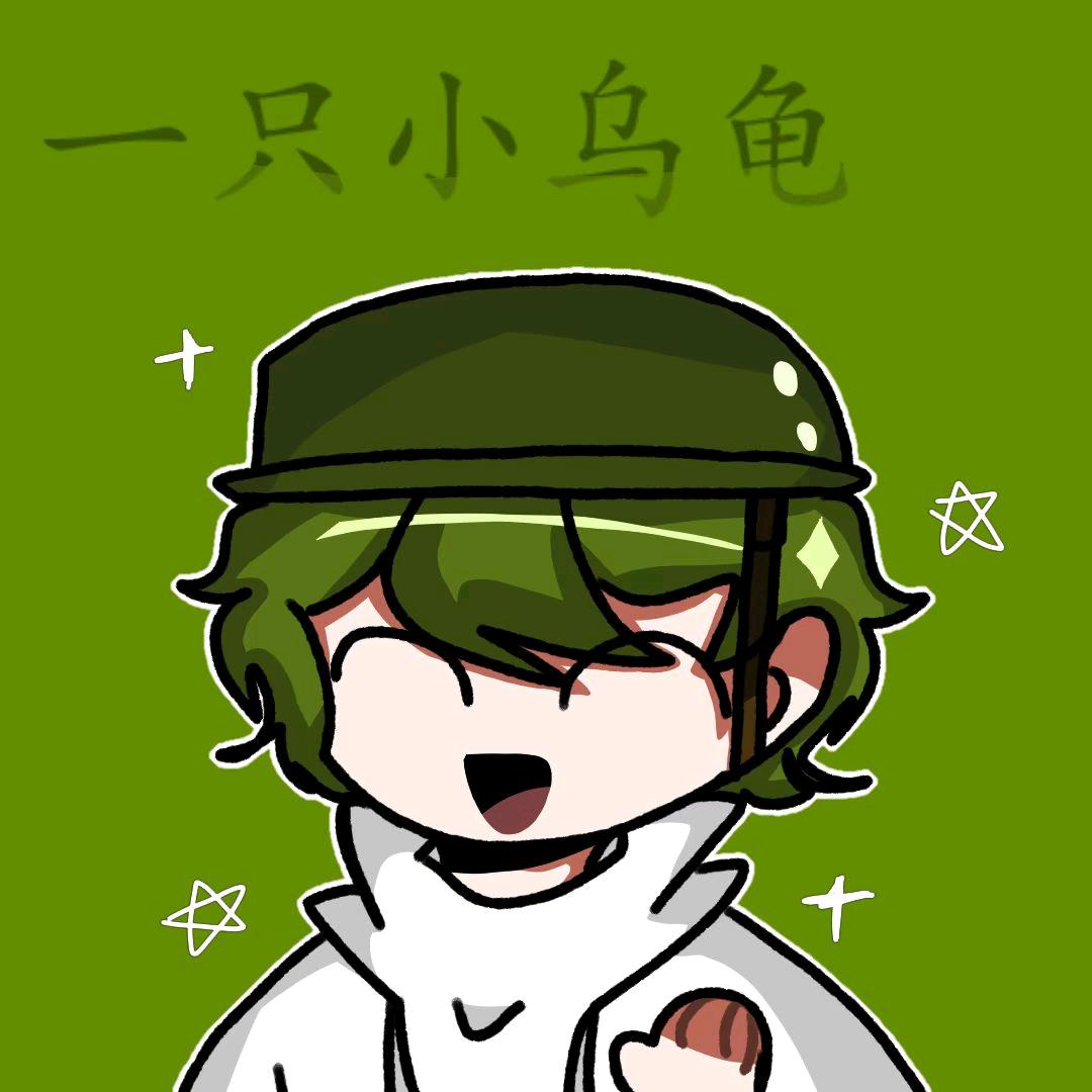 一只小乌龟🐢（小雾龟）
