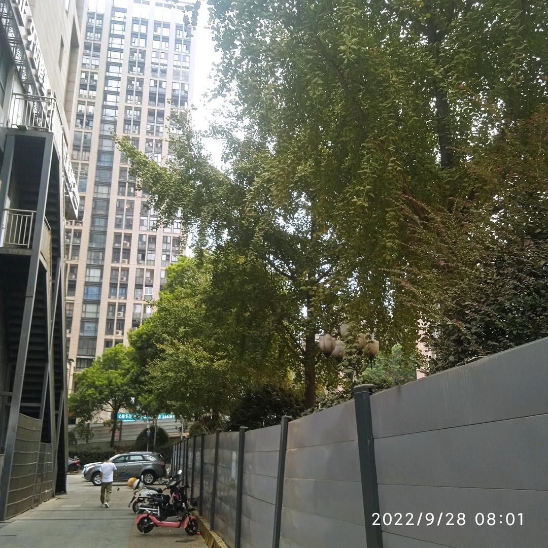 锋哥
