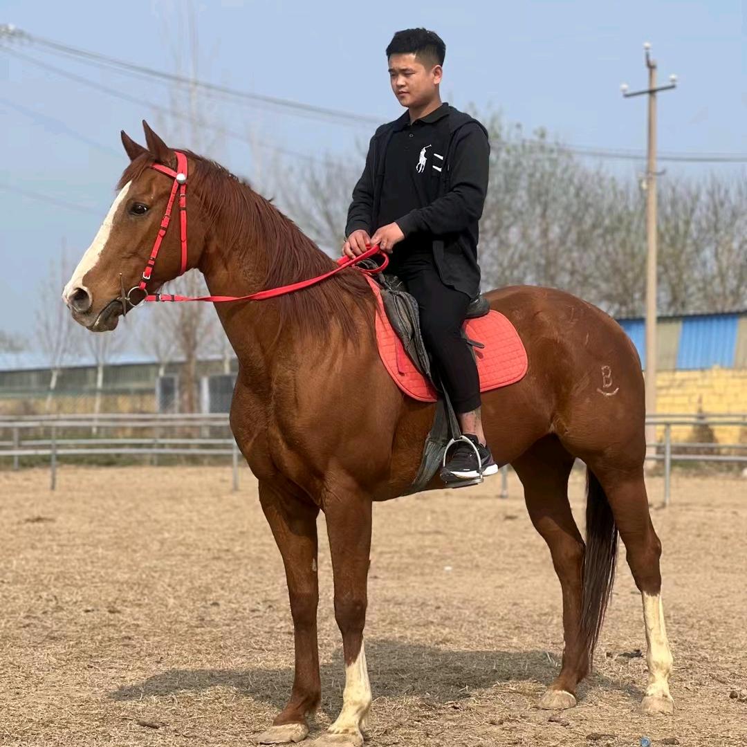 山东伴宇养殖