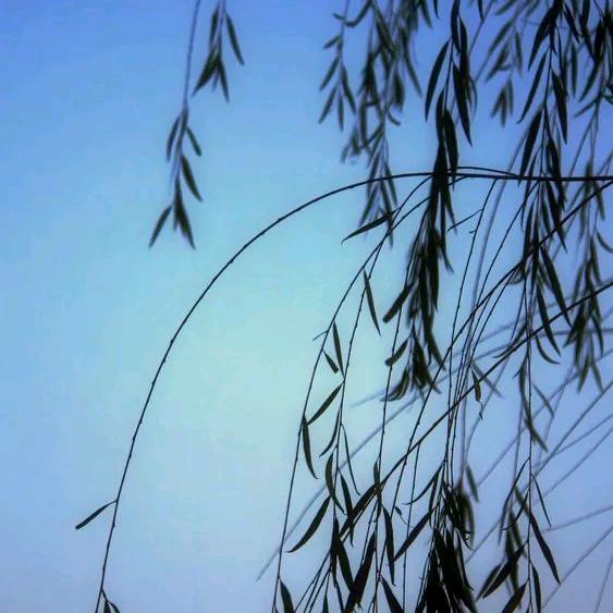 独钓寒江漂泊客