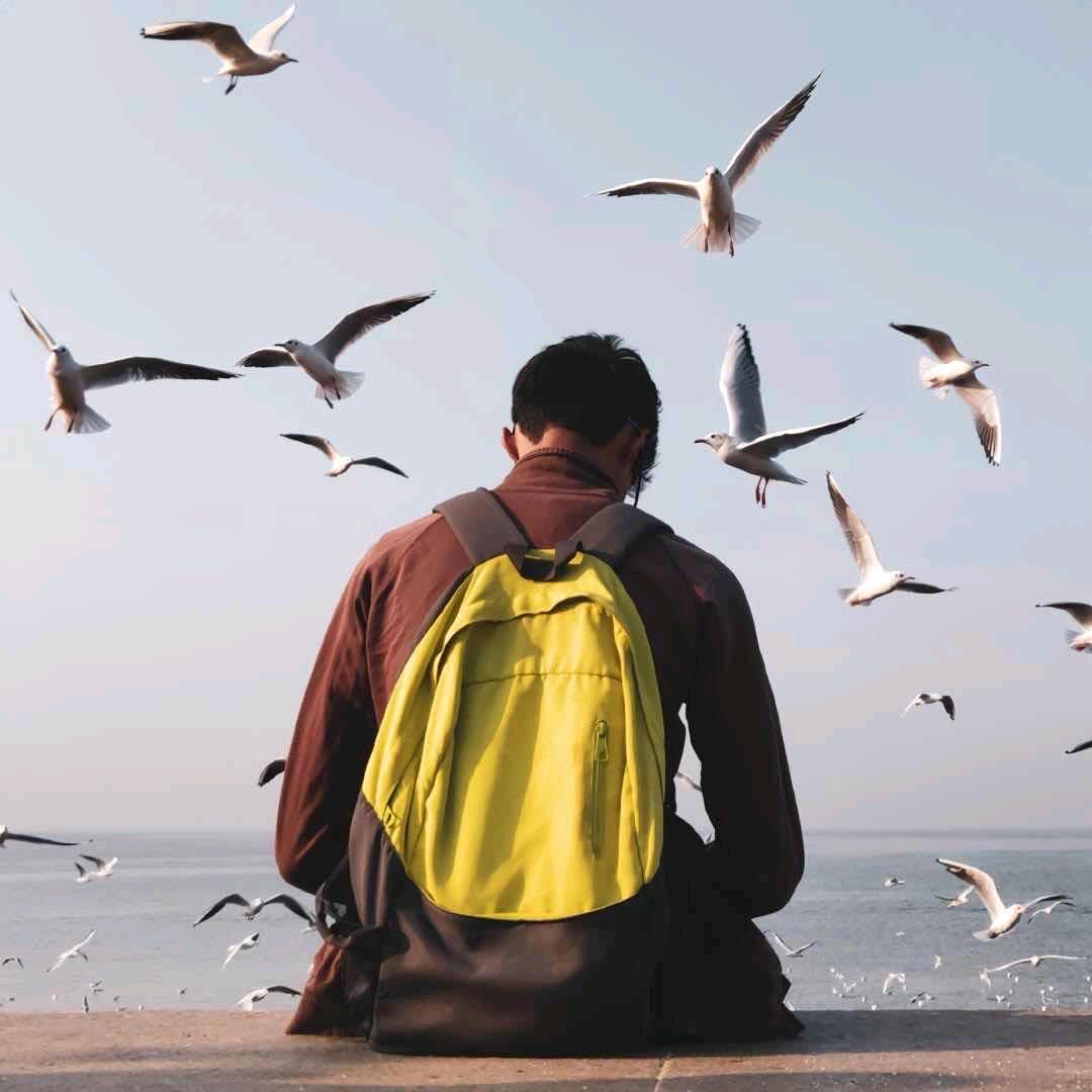 我想要两颗西柚