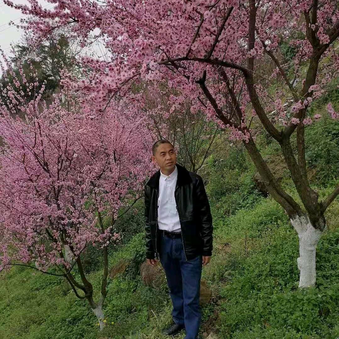 好运伴我浪迹天涯