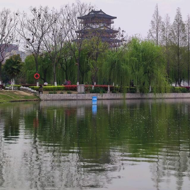 自娱自乐(记录生活)