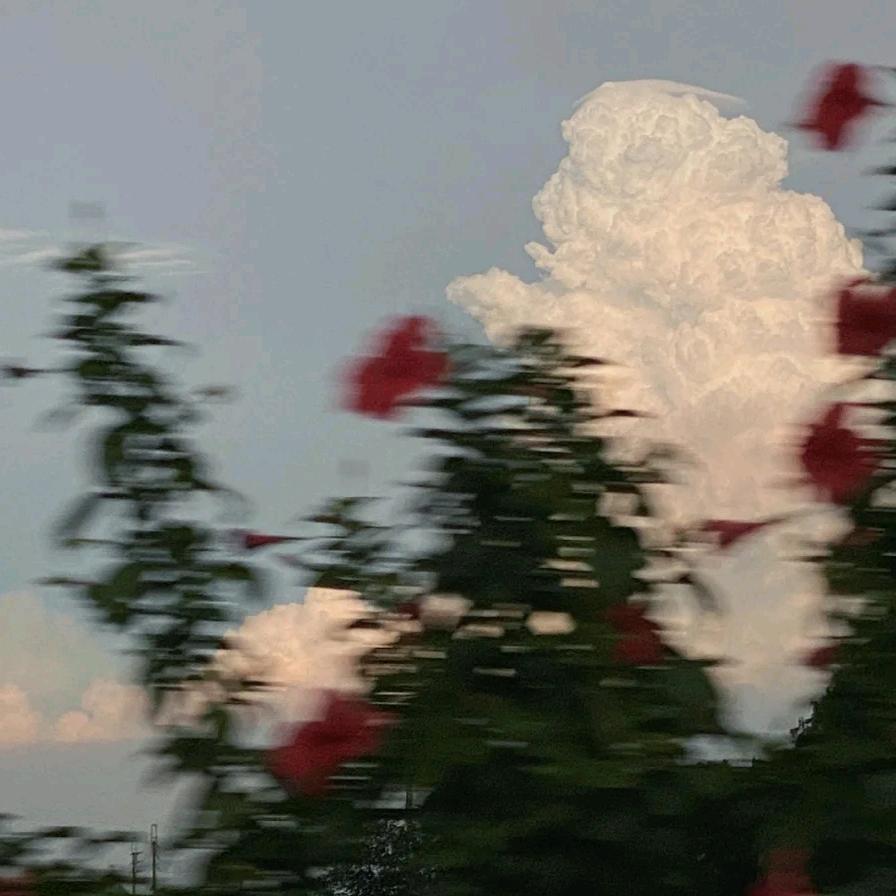 柠檬好酸.