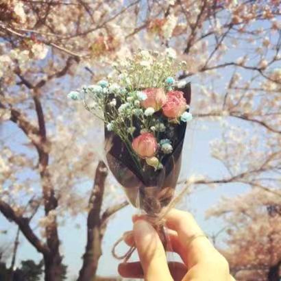 天若有情，不私聊