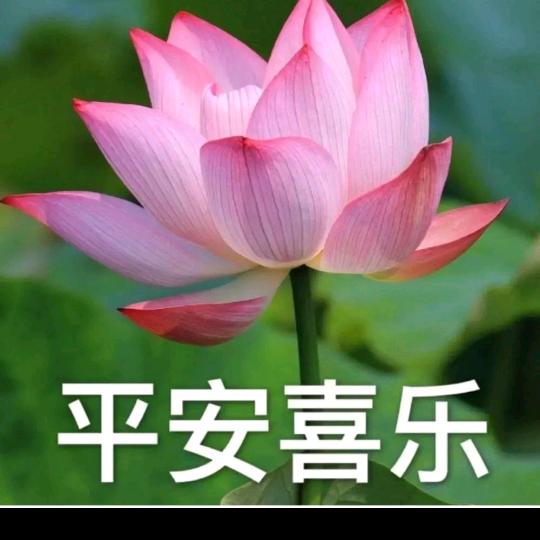 @快乐秀󾓭
