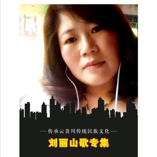清镇市刘丽咨询服务工作室