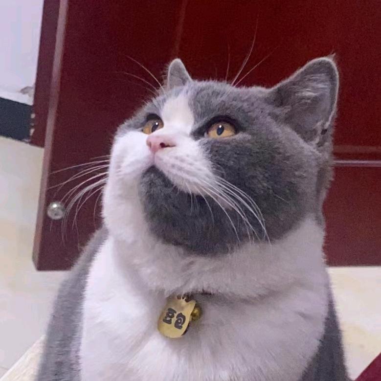 豆包吃饱啦